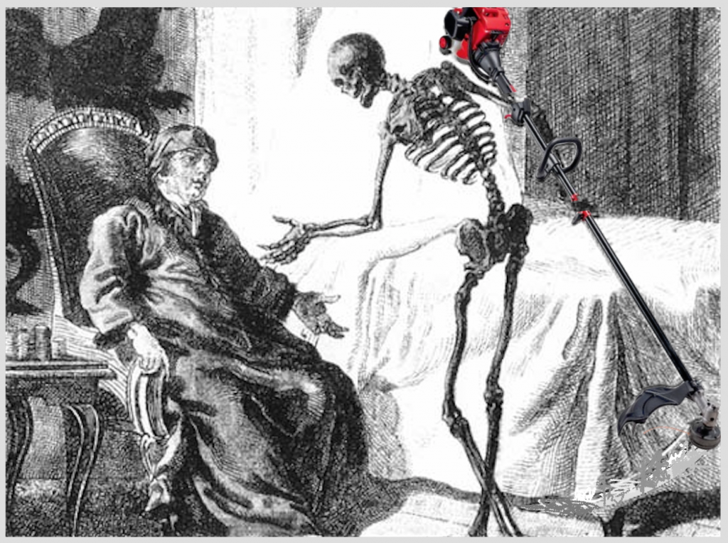 Pourquoi les moteurs Weedwacker sont-ils si nuls ? – L'esprit oisif d'Elaine