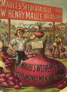 1732244550 925 La fraude comme caracteristique pas comme defaut – Elaines Idle