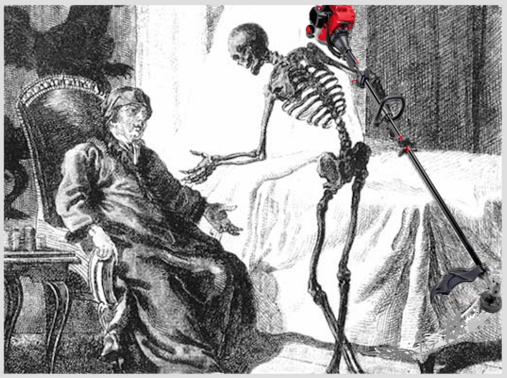 Pourquoi les moteurs Weedwacker sont-ils si nuls ? – L'esprit oisif d'Elaine Pourquoi les moteurs Weedwacker sont ils si nuls – Lesprit