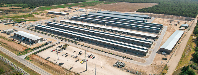 Bitcoin comme outil de la politique economique americaine