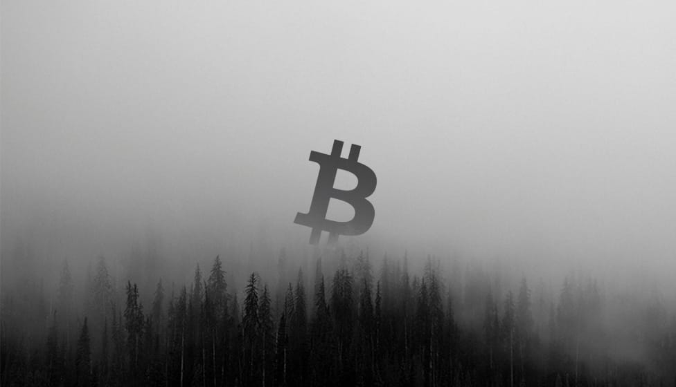 L'utilisateur de Bitcoin Fog, Roman Sterlingov, écope de 12,5 ans de prison pour l'avoir prétendument exécuté sur la base de la « Junk Science »