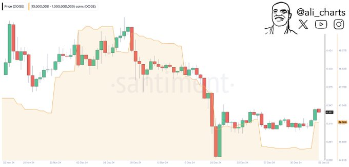 Prediction du prix du Dogecoin alors que les baleines accumulent