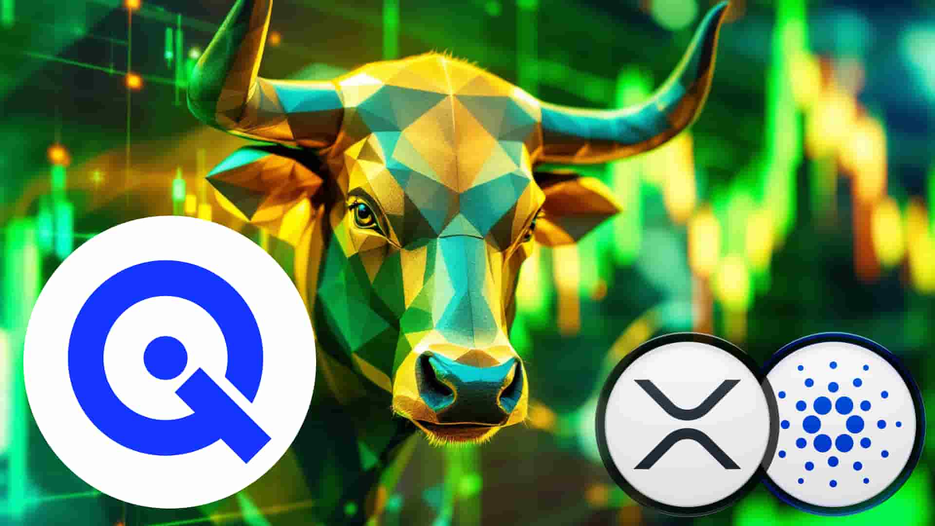Achetez XRP, Wallitiq (WLTQ) et ADA avant le prochain Bull Run
