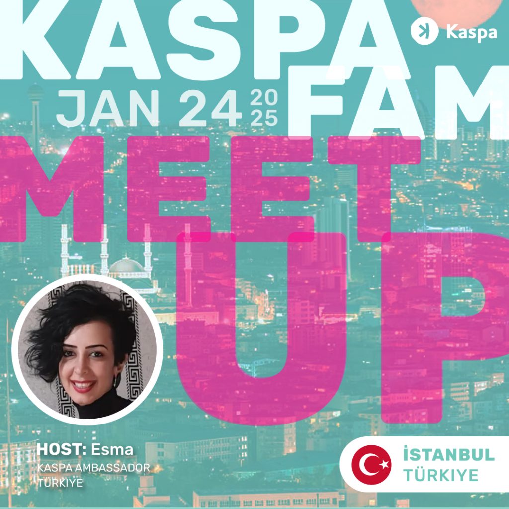 Kaspa Meetup Istanbul, Türkiye - Kaspa