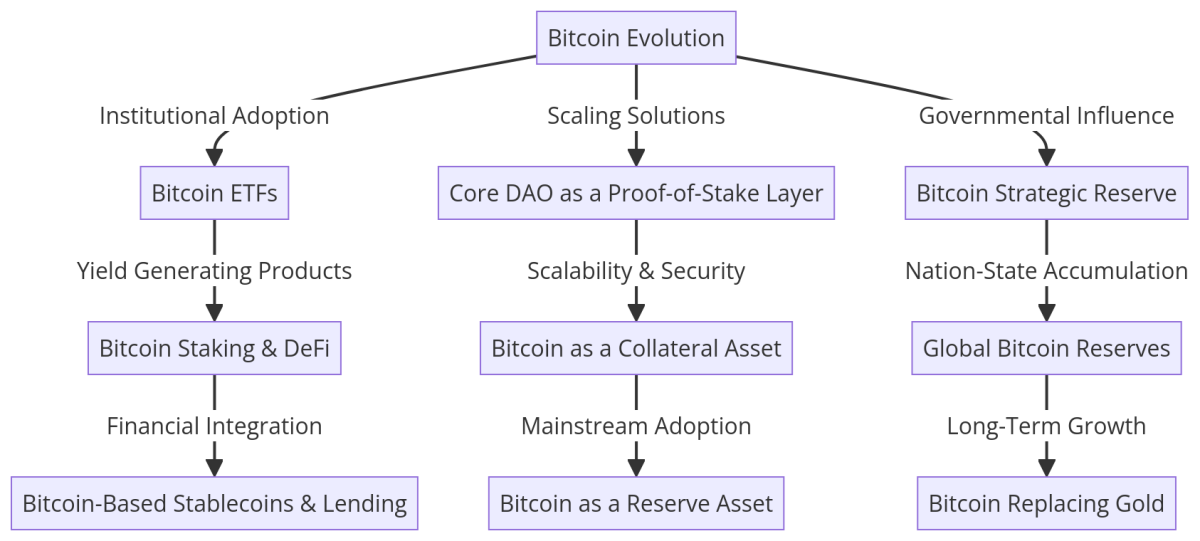 L'avenir du bitcoin: mise à l'échelle, adoption institutionnelle et réserves stratégiques avec rines riches