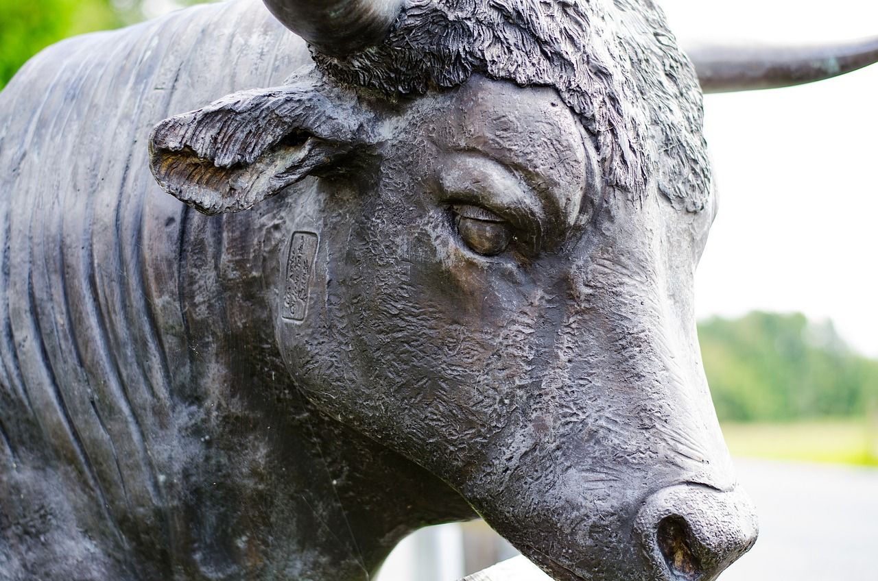 BTC's bull market is far from over, key indicator suggests. (cjweaver13/Pixabay)