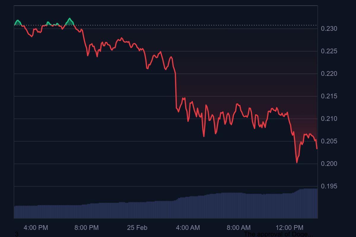 Les baleines se chargent sur DTX pour des gains faciles