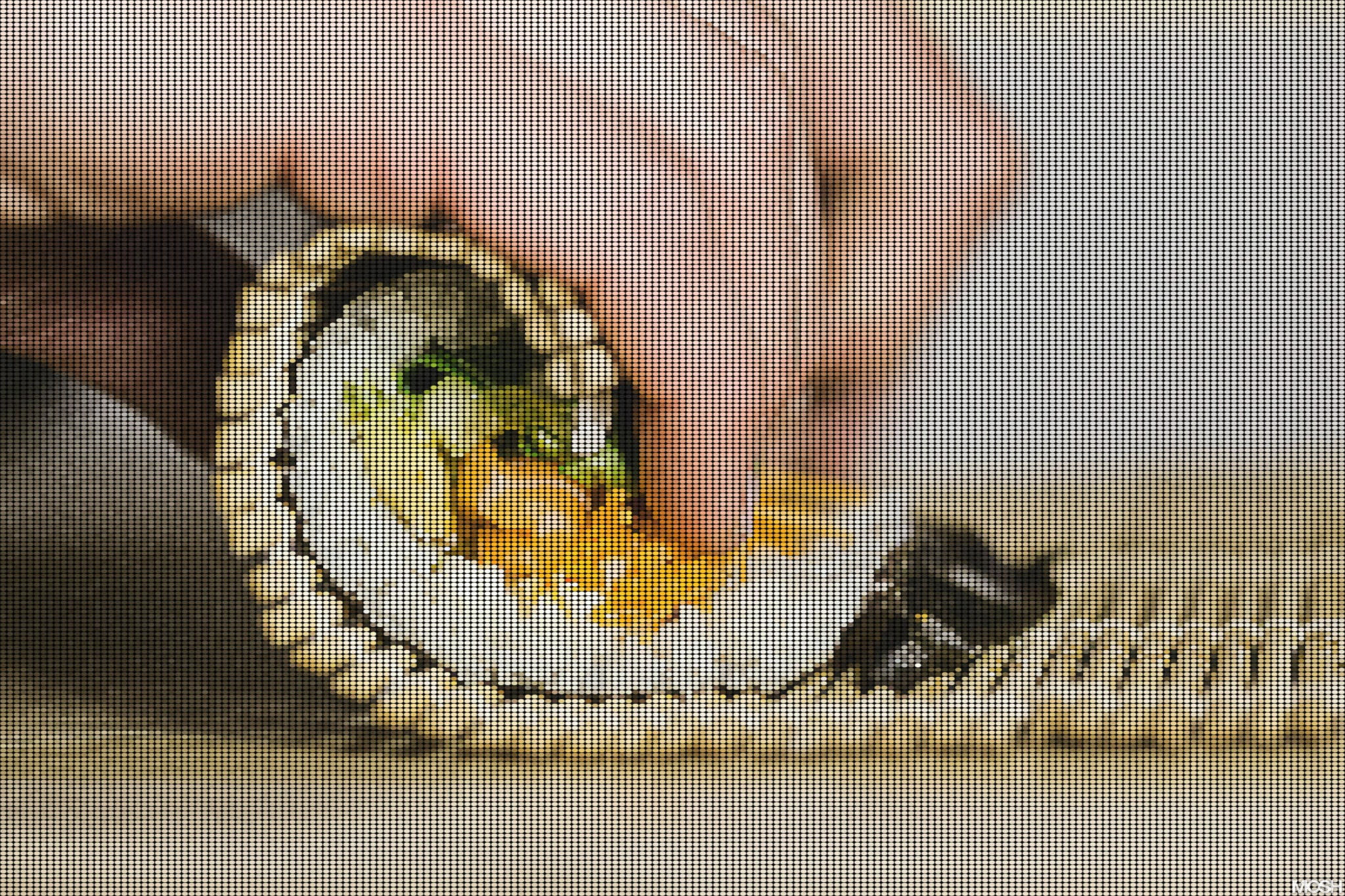 Sushi rollup