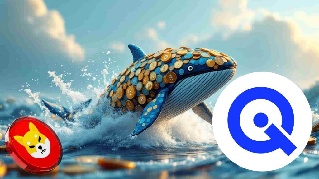 Pourquoi certaines baleines de shib envisagent Wallitiq (WLTQ) pour 9 340% de ROI le mois prochain