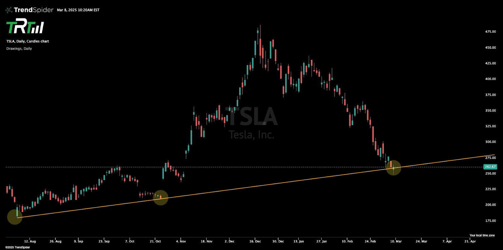 Tesla élimine tous les gains post-électoraux; Quand la souffrance de TSLA se terminera-t-elle? 1741462256 532 Tesla elimine tous les gains post electoraux Quand la souffrance de