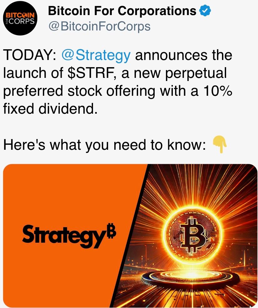 1742383344 6 Crypto Daybook Americas Memecoins decolle sur Tron tandis que le