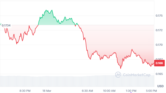 1742386990 63 DoGECONE transforme 500 a 80 000 en 2021