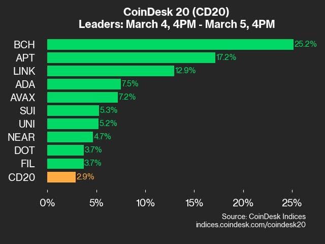 Coindesk 20 Index Leaders (Indices Coindesk)