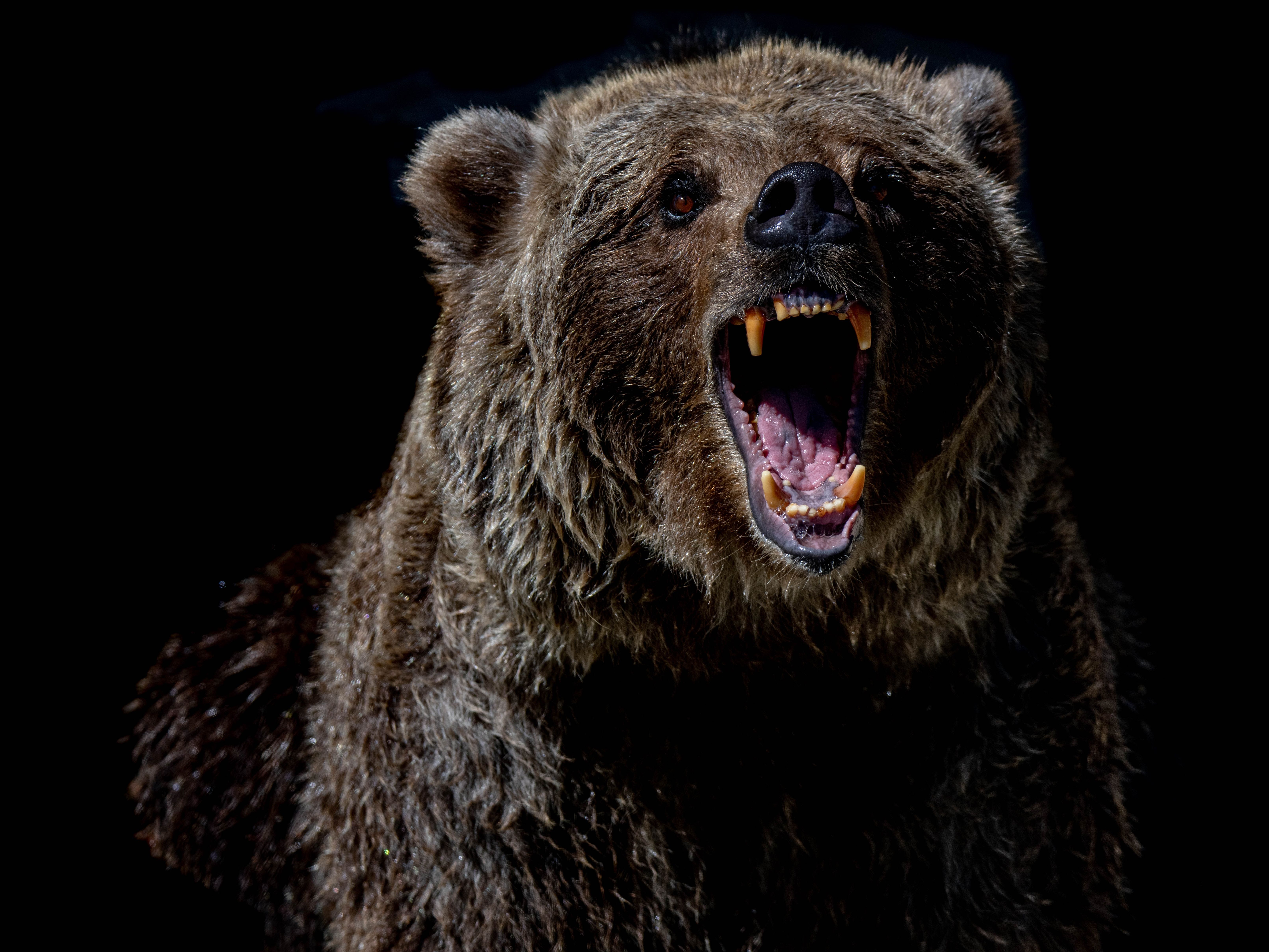 BTC descend en dessous de 80 000 alors que