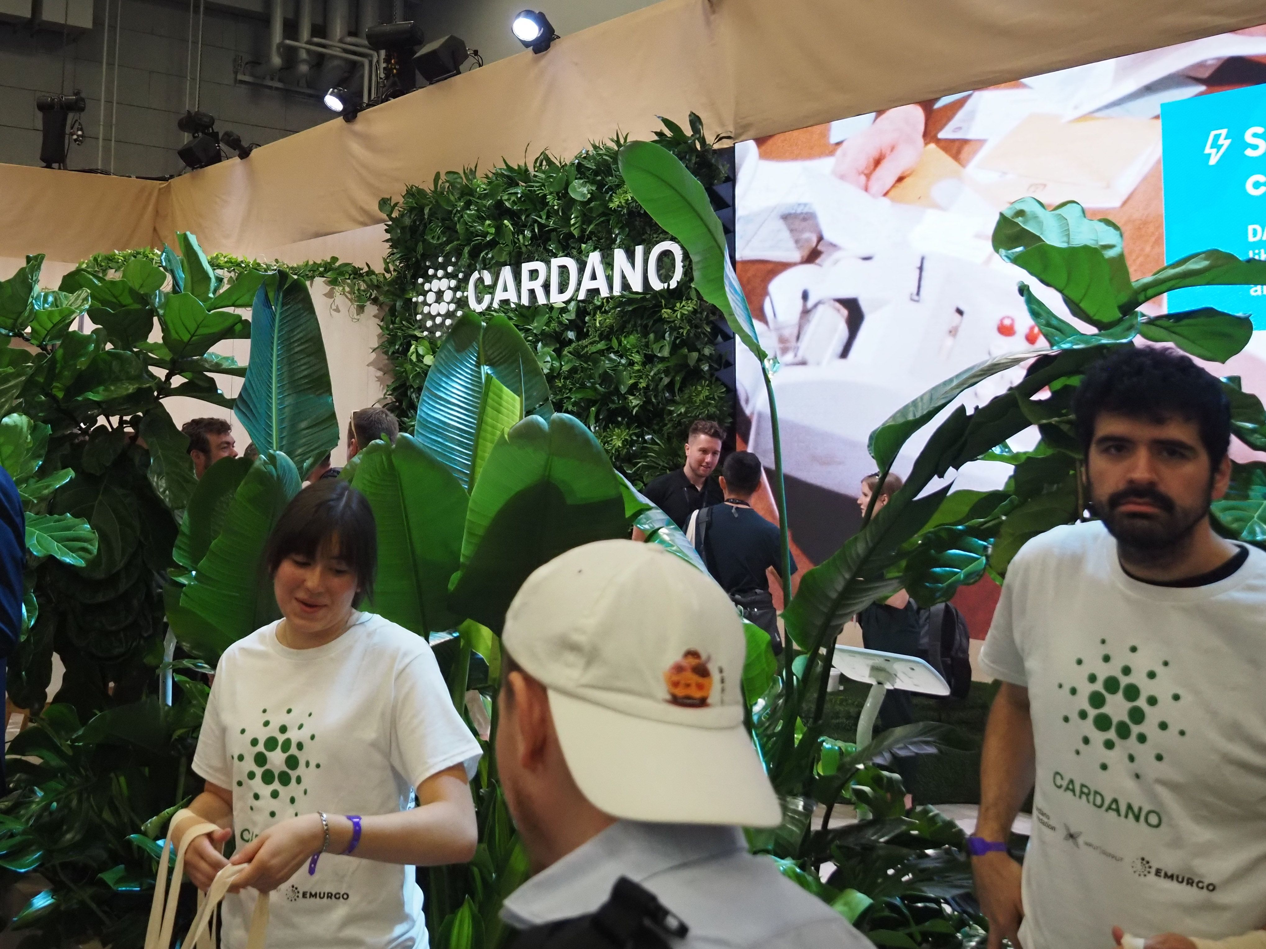 Dive profonde sur le jeton de la réserve Trump dont la blockchain ignore TVL Dive profonde sur le jeton de la reserve Trump dont