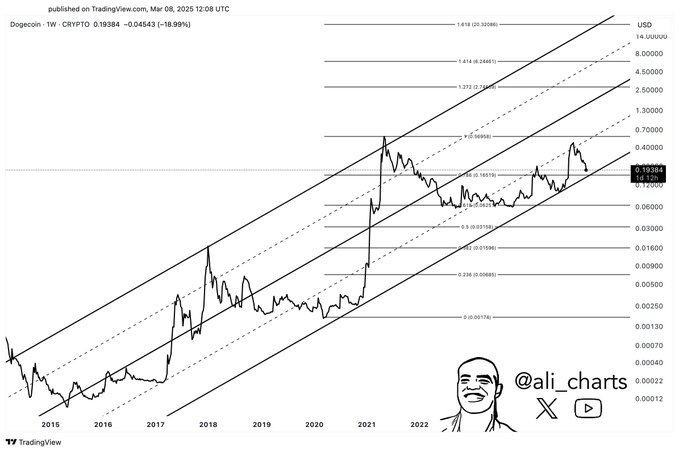 Dogecoin est prometteur mais il traine ses pattes Doge Killer