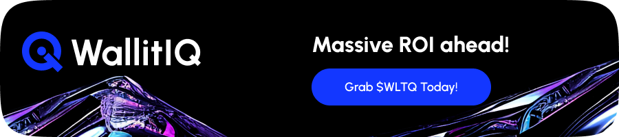 Lavenir des paiements Wallitiq WLTQ lance la plate forme beta et