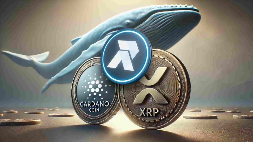 RCOF attire l'attention des baleines XRP et Cardano (ADA) pour une augmentation du portefeuille RCOF attire l'attention des baleines XRP et Cardano (ADA) pour une augmentation du portefeuille