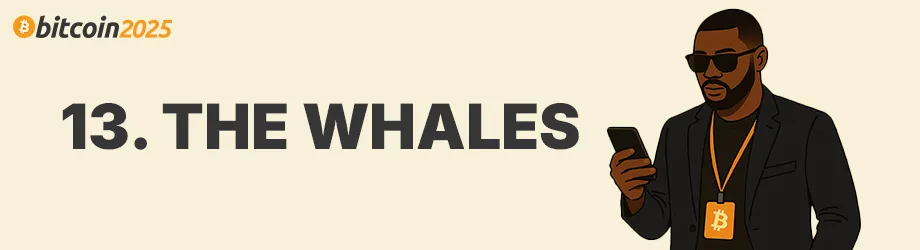 The 14 Types of People You'll Definitely See at Bitcoin 2025 13 1744392877 748 Les 14 types de personnes que vous verrez certainement au.webp