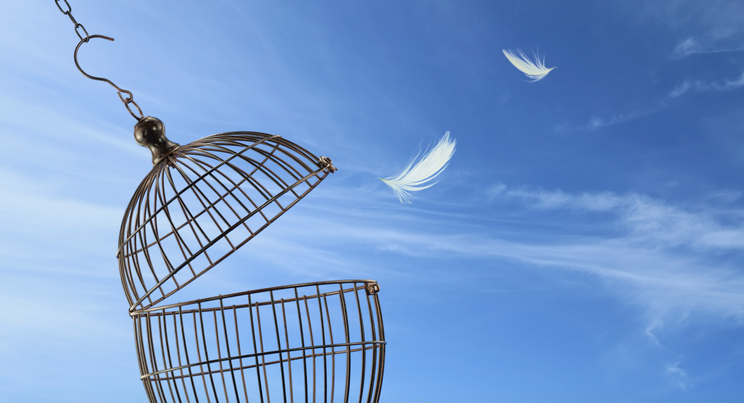 BTC's daily chart. (TradingView/CoinDesk)