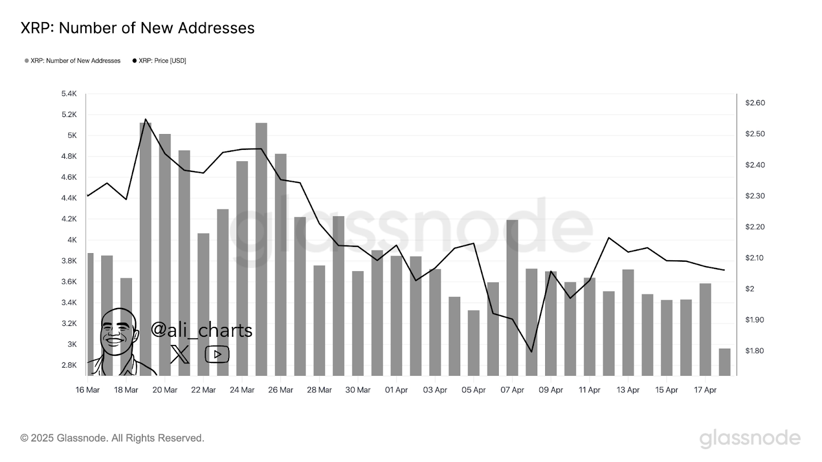 Lactivite du reseau XRP se bloque de 44 La chute