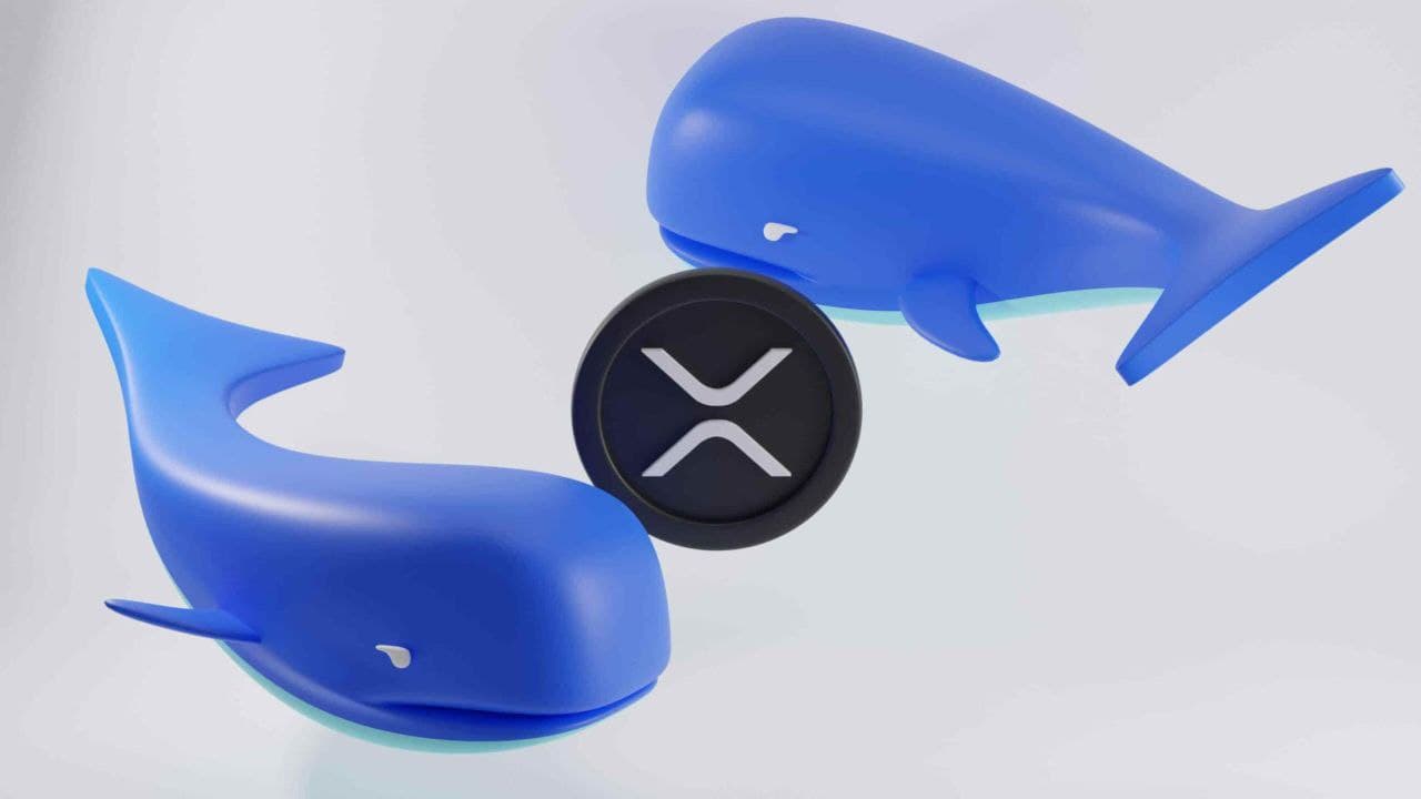 XRP whale just moved over $60m amid ETF hype