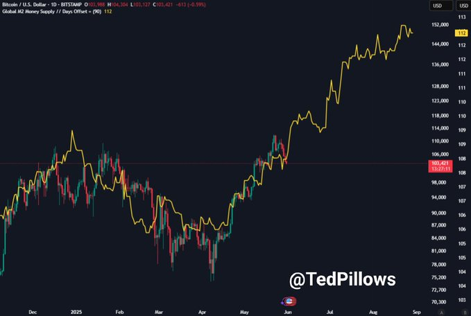 1748724934 730 Bitcoin est defini sur le rebond alors que BTC clignote