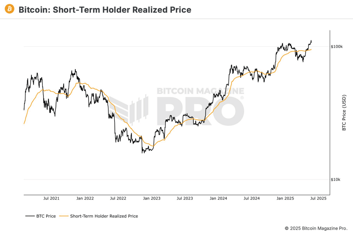Bitcoin Bitcoin à court terme Base de coût (Bitcoin Magazine Pro / BitFinex)