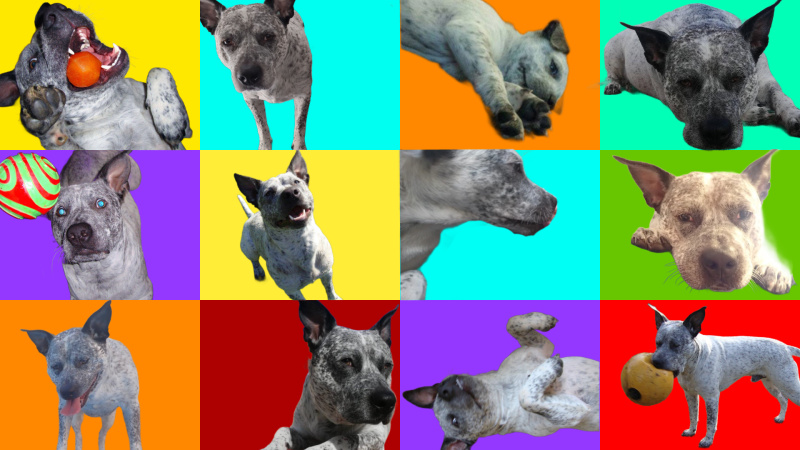 1749112097 743 Annonce dune collaboration IP avec lartiste et titulaire de la