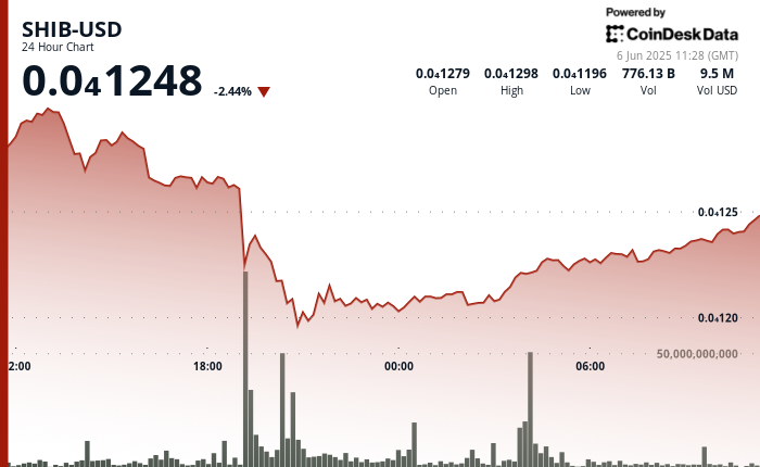 SHIB's daily price chart. (TradingView/CoinDesk)