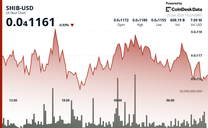 SHIB's hourly price chart. (TradingView/CoinDesk)