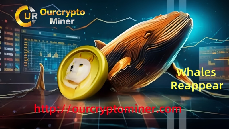 Comment les détenteurs de DoGECOIN gagnent 12 000 $ par jour avec OurCryptominer Comment les detenteurs de DoGECOIN gagnent 12 000 par
