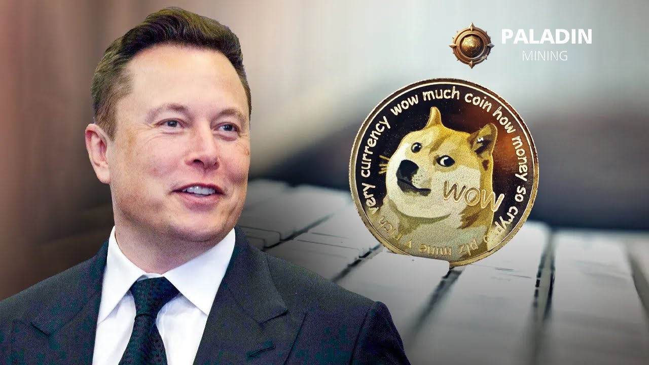 Démarrez un mineur Bitcoin avec Dogecoin (DOGE) pour gagner 5000 $ par jour