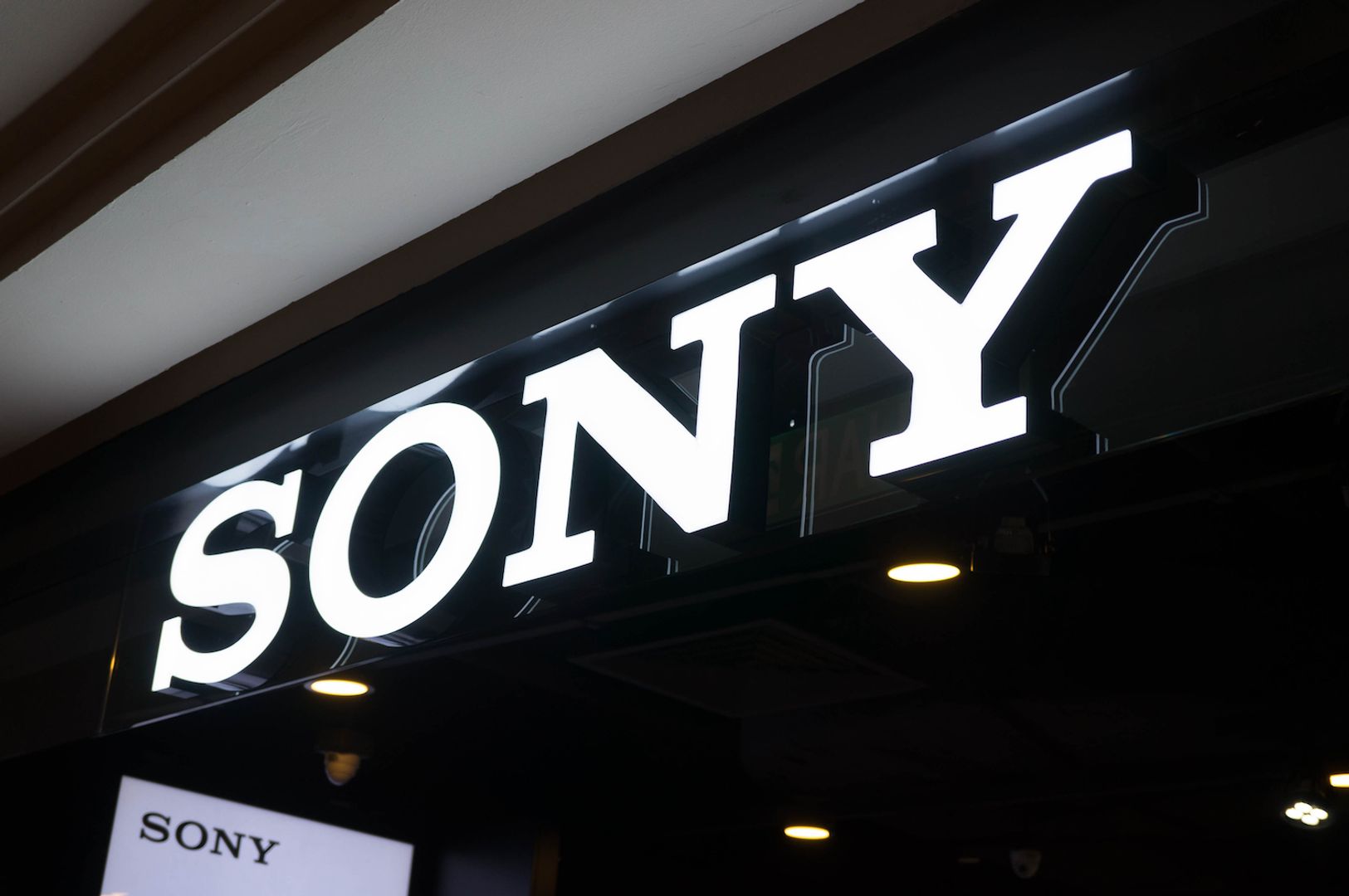 La blockchain de la couche 2 de Sony devoile lincubateur