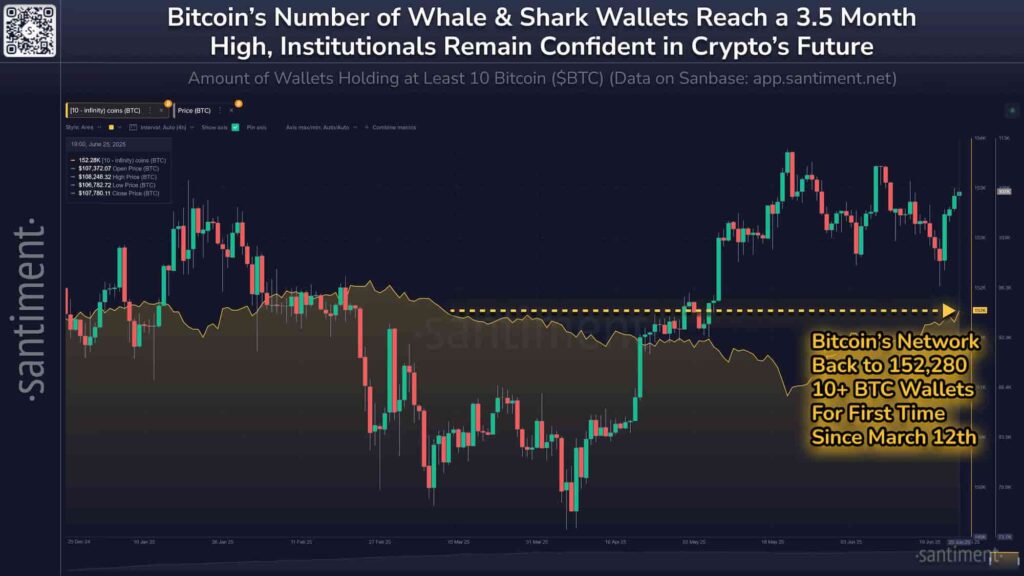 Les grands joueurs de Bitcoin font des mouvements; Devriez-vous suivre? Les grands joueurs de Bitcoin font des mouvements Devriez vous suivre