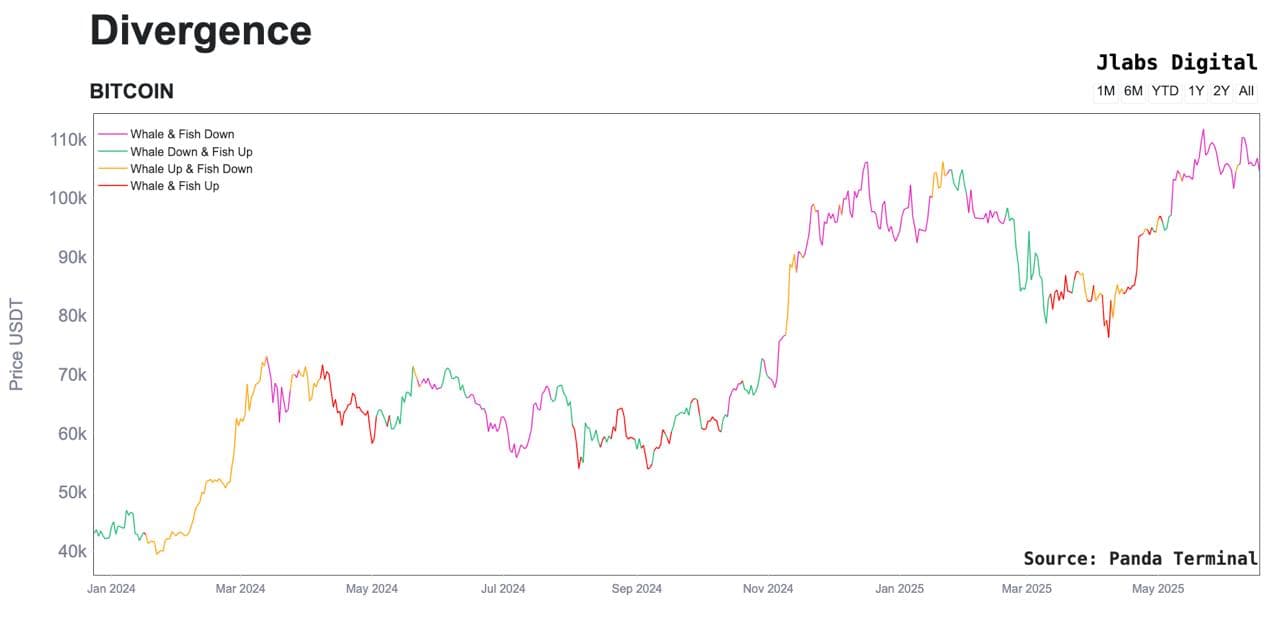 Modèles d'accumulation de Bitcoin. (Terminal Panda)