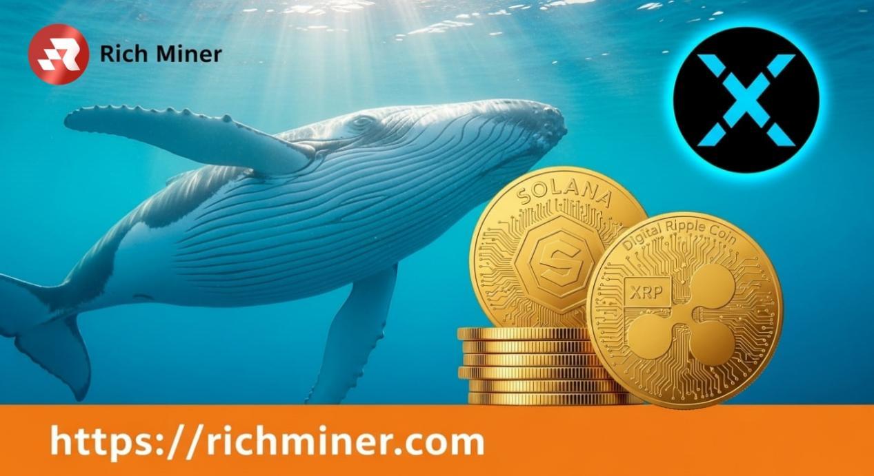 RichMiner rend votre BTC DOGE et XRP qui nest plus