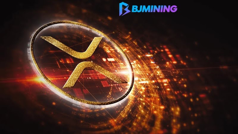Transformez le Dogecoin (Doge) et Ripple (XRP) en un flux de revenus de 7 800 $ par jour avec Bjmining