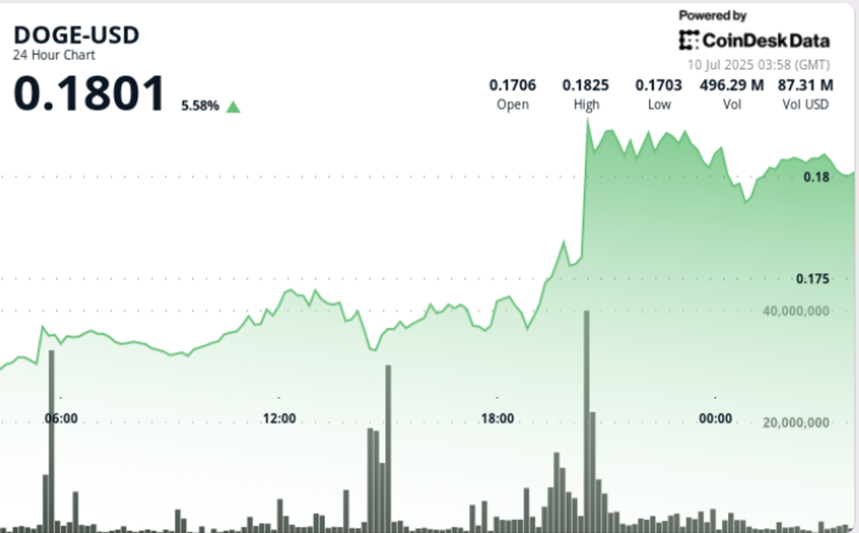Doge frappe la resistance sur levasion du drapeau taureau mais