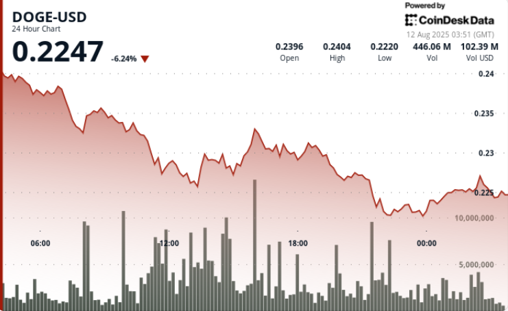 jwp-player-placeholder