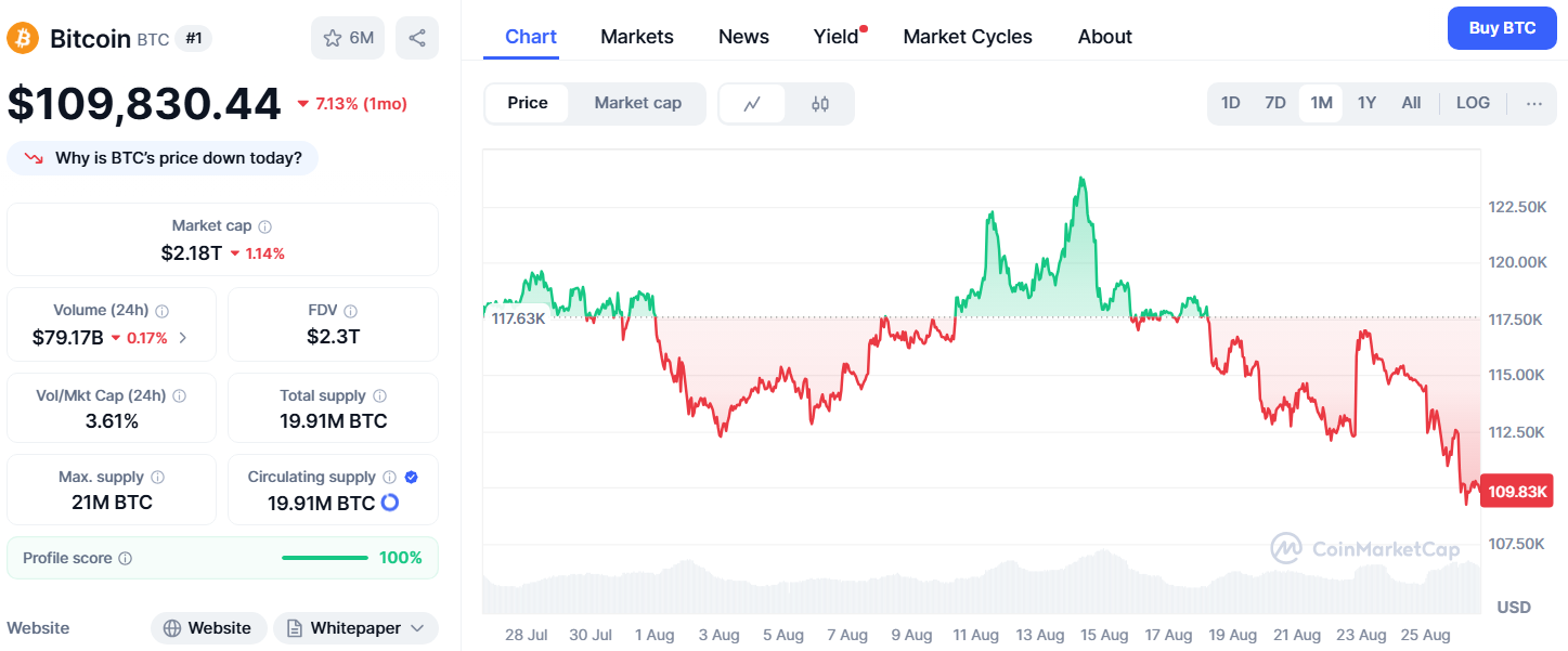 Comment l'élan de la prévente d'Ozak AI le met en avance sur Polkadot, XRP et Solana 1756319148 197 Comment lelan de la prevente dOzak AI le met en
