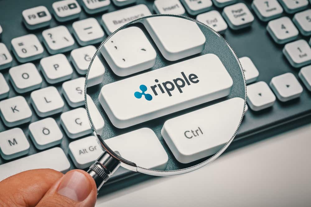Here's XRP's new support to watch after whales acquire 340 million tokens
