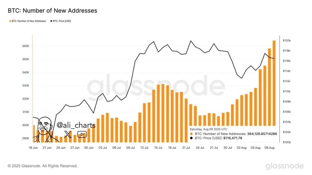 Les nouvelles adresses de Bitcoin ont atteint une surtension denregistrement