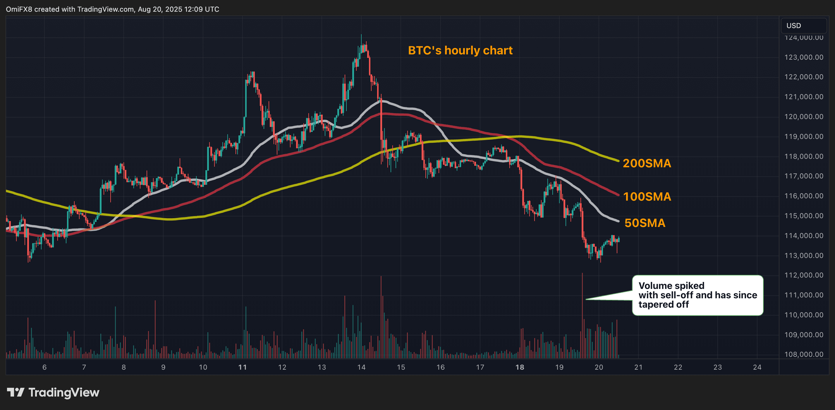 Charte horaire de la BTC. (TradingView)