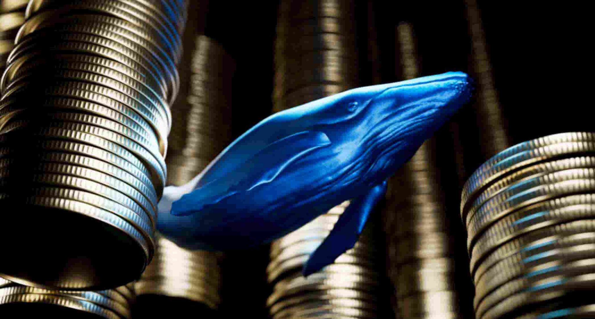 XRP whales scoop up 120 million tokens 