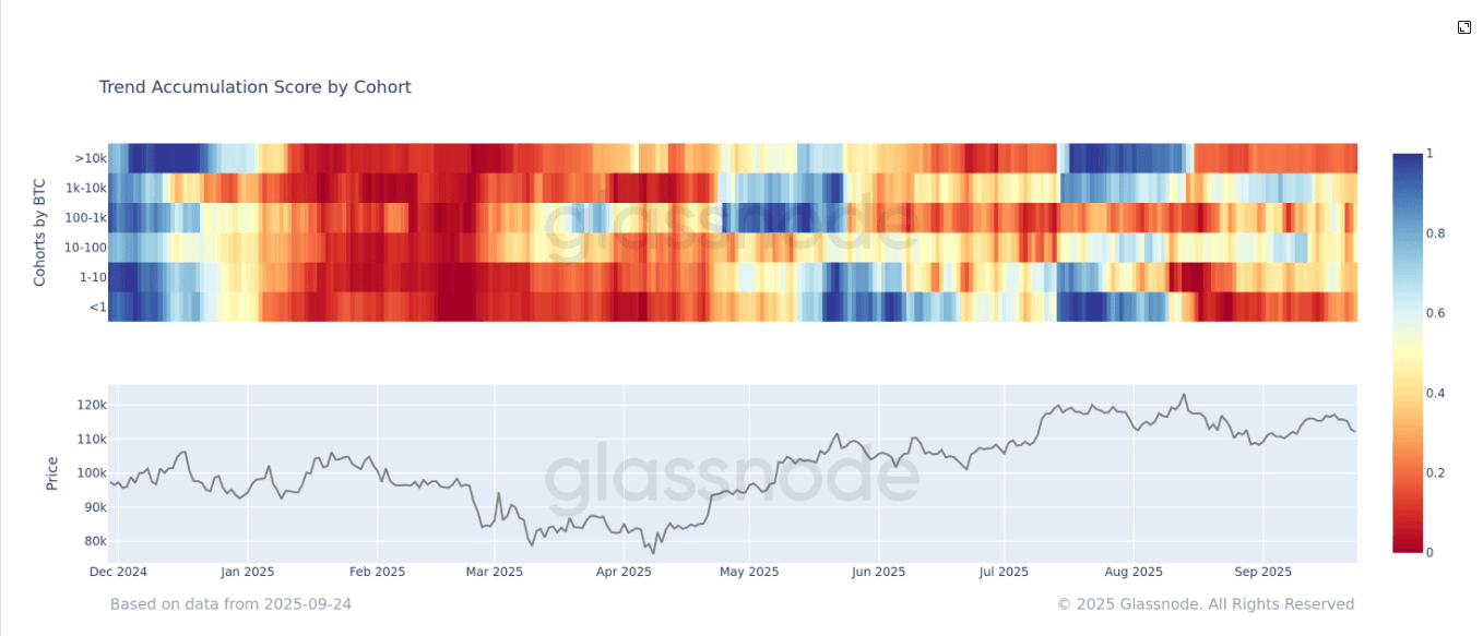 Score d'accumulation de tendance par cohorte (Glassnode)