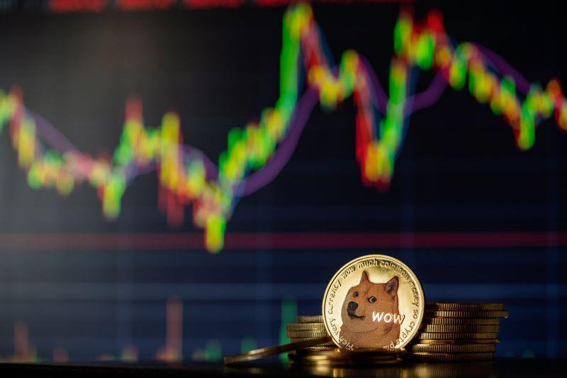 Dogecoin feels the bite crashing 10% in a day