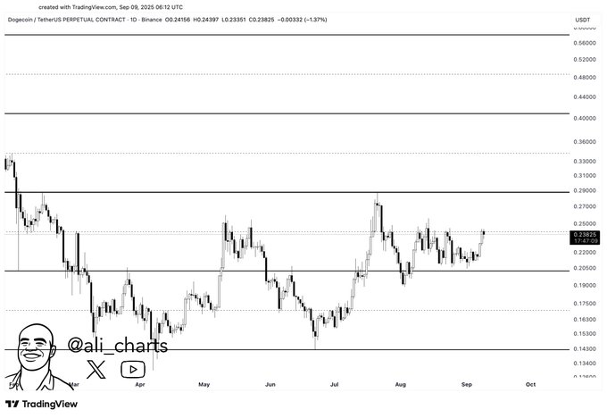 Lanalyste fixe le chemin de Dogecoin DOGE a 050