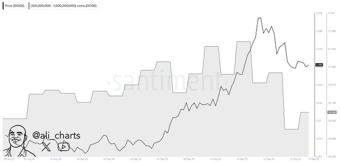 Les baleines DoGECOIN achetent 680 Doge en moins dune semaine