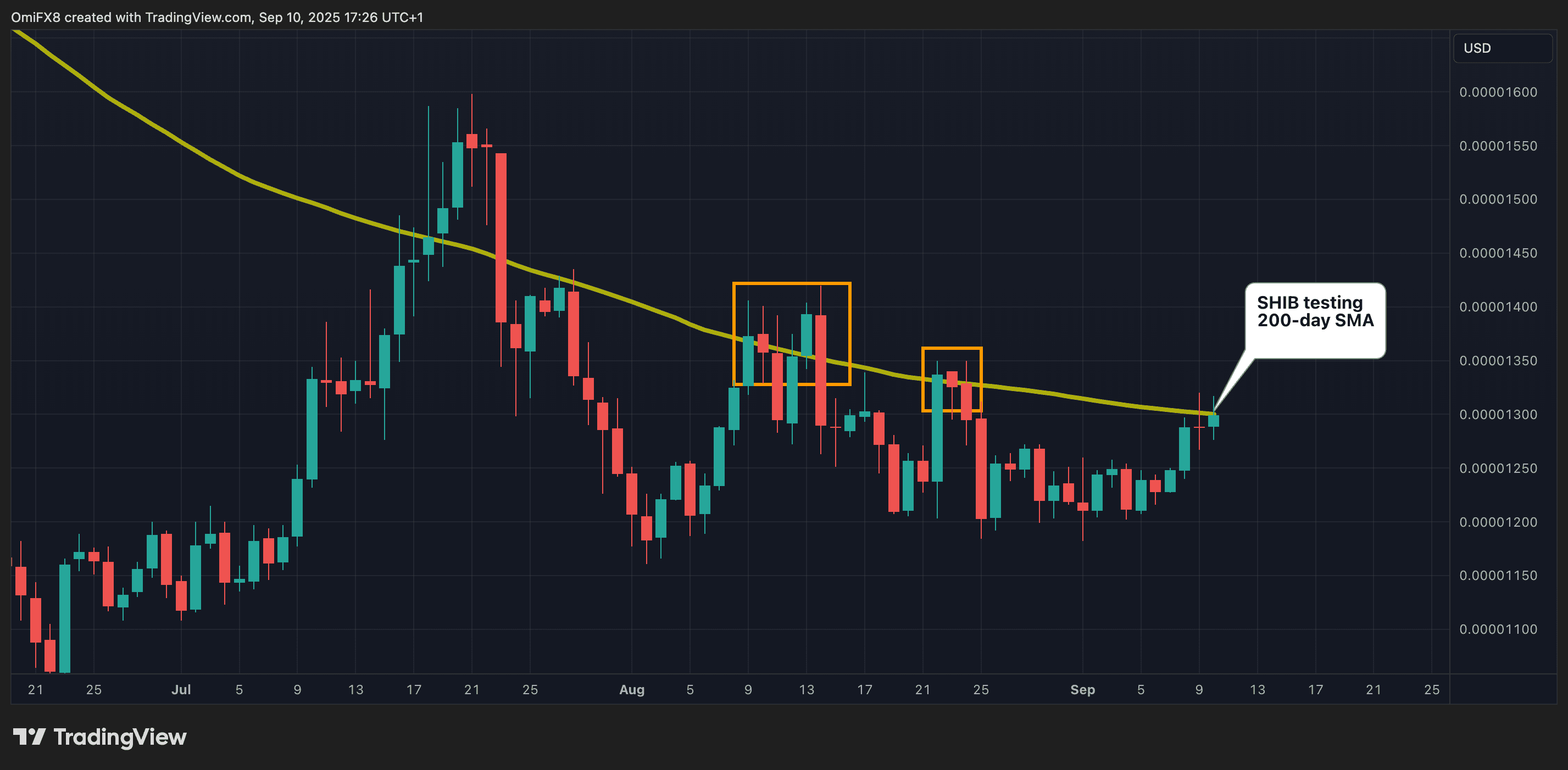 Shib's Daily Chart avec le SMA de 200 jours. (TradingView / Coindesk)